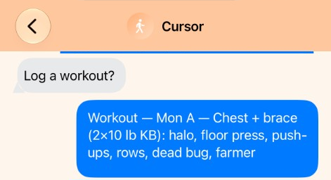 Sintax Logbook: Mon A — Chest + brace, two 10 lb kettlebells — halo, floor press, push-ups, rows, dead bug, farmer.